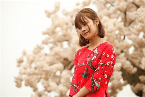 結婚適齢期