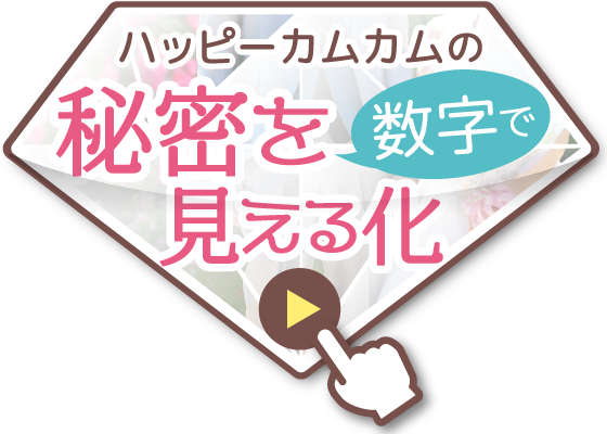 結婚相談所ハッピーカムカムの秘密を数字で見える化 選ばれる理由