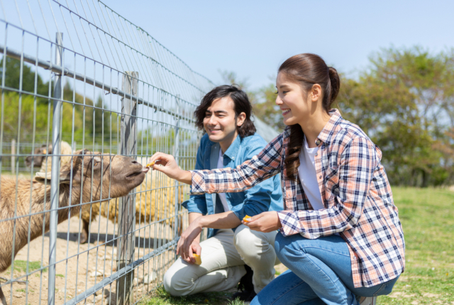 本交際中のデートプランは慎重に考えて